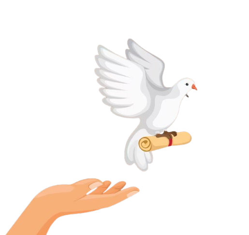 unitedpigeons
