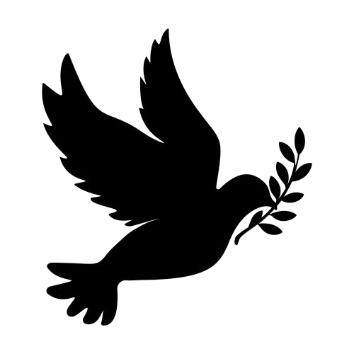 unitedpigeons